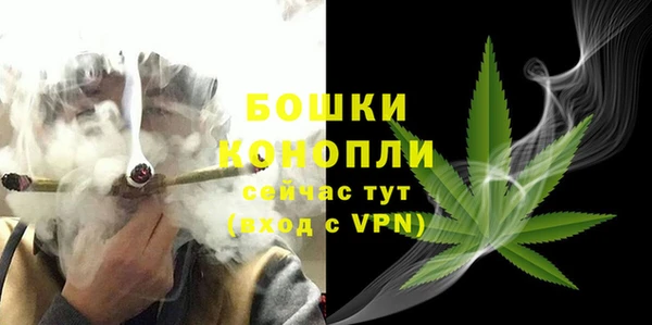 крисы Горнозаводск
