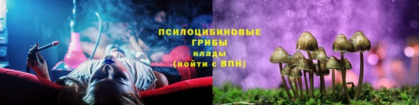 крисы Горнозаводск