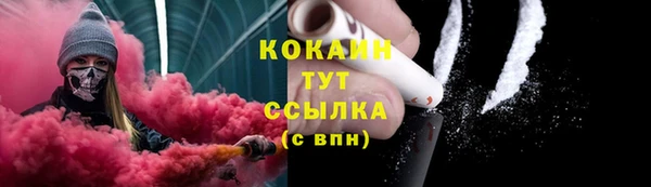 крисы Горнозаводск