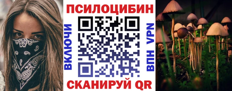 Галлюциногенные грибы Psilocybine cubensis  Купить  Арск 